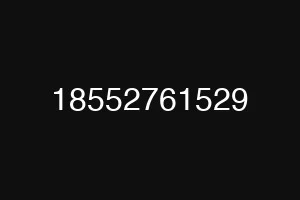 18552761529