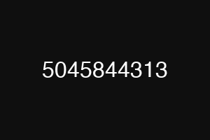 5045844313