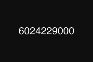 6024229000
