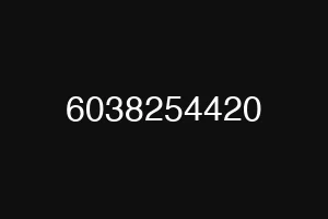 6038254420