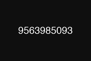 9563985093