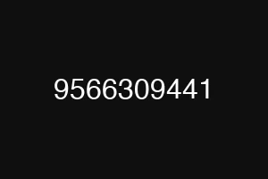 9566309441
