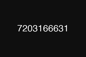 7203166631