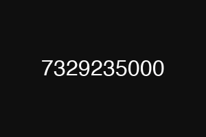 7329235000