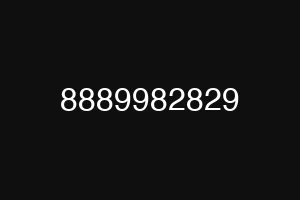8889982829