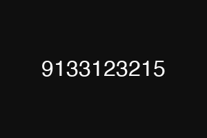 9133123215