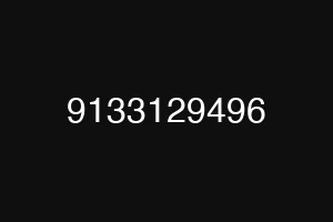 9133129496